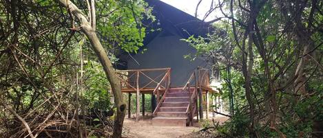 A rustic wooden staircase leading to a dark-colored building surrounded by dense greenery.
