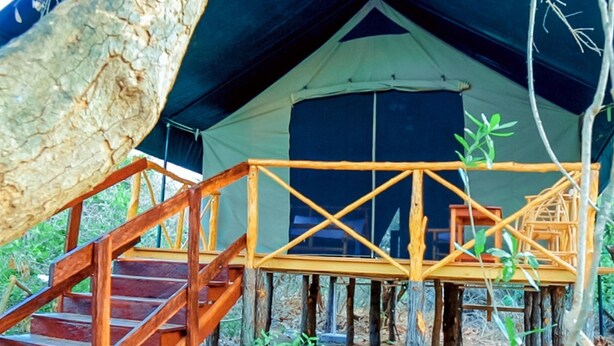A tent with a wooden staircase leading to a platform. - Camp Seluu (Mloka)