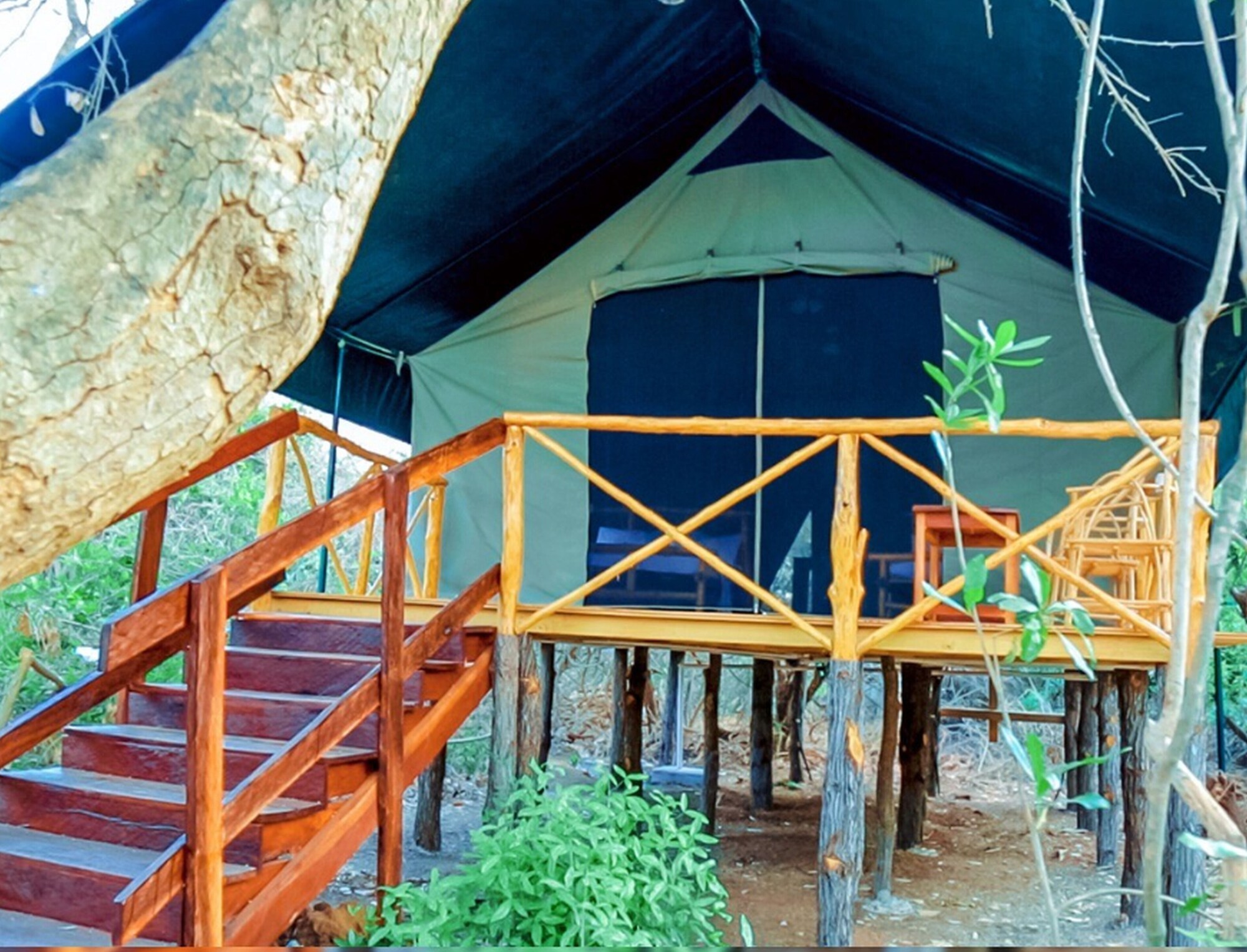 3 Star Hotels