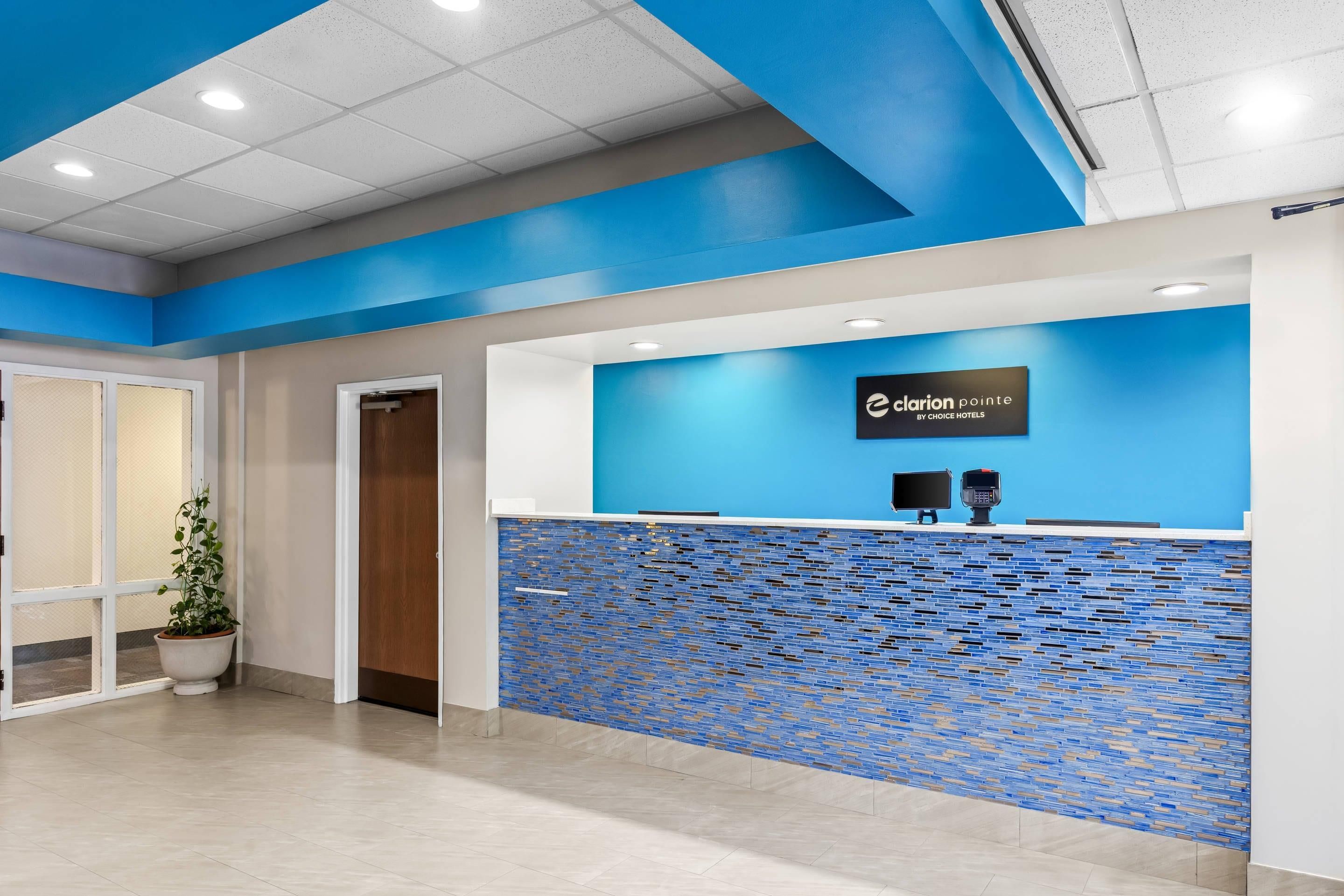 A reception area with a blue wall, a reception desk, and a potted plant.