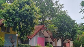 A row of colorful houses with a gravel driveway. - Haad Somboon House (Bang Saphan)