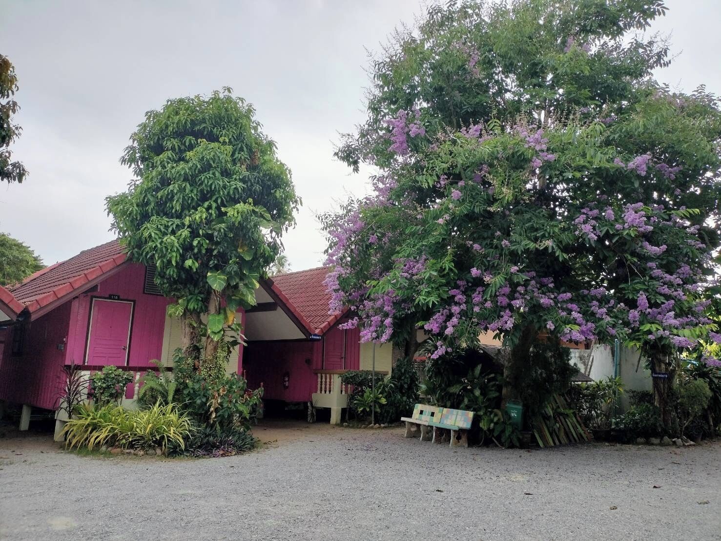 A building with a red roof and a purple door, surrounded by lush greenery and purple flowering trees.