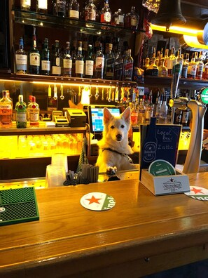 Pet-friendly - Hotel & bar Royal taste Amsterdam (Amsterdam)