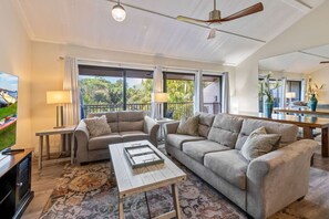 Smart TV, reproductor de DVD, libros