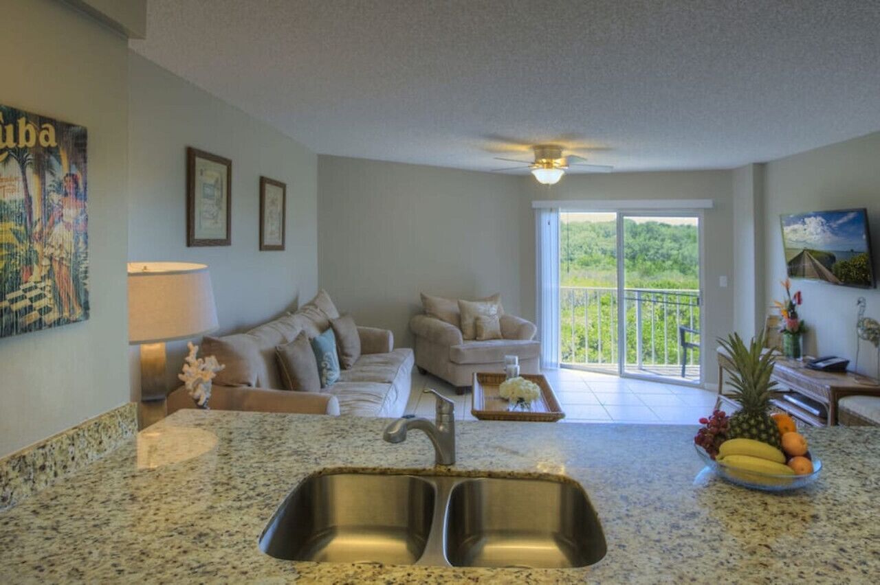 A spacious living area with a kitchen featuring granite countertops and stainless steel sinks. There is a balcony with a view of greenery.
