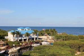 Marina - OP-2 Ocean View w/heated pool beach marina (Tavernier)
