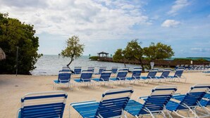 A beach with rows of blue and white sun loungers facing the ocean. - Ocean Pointe Ocean View w/heated pool beach marina (Tavernier)