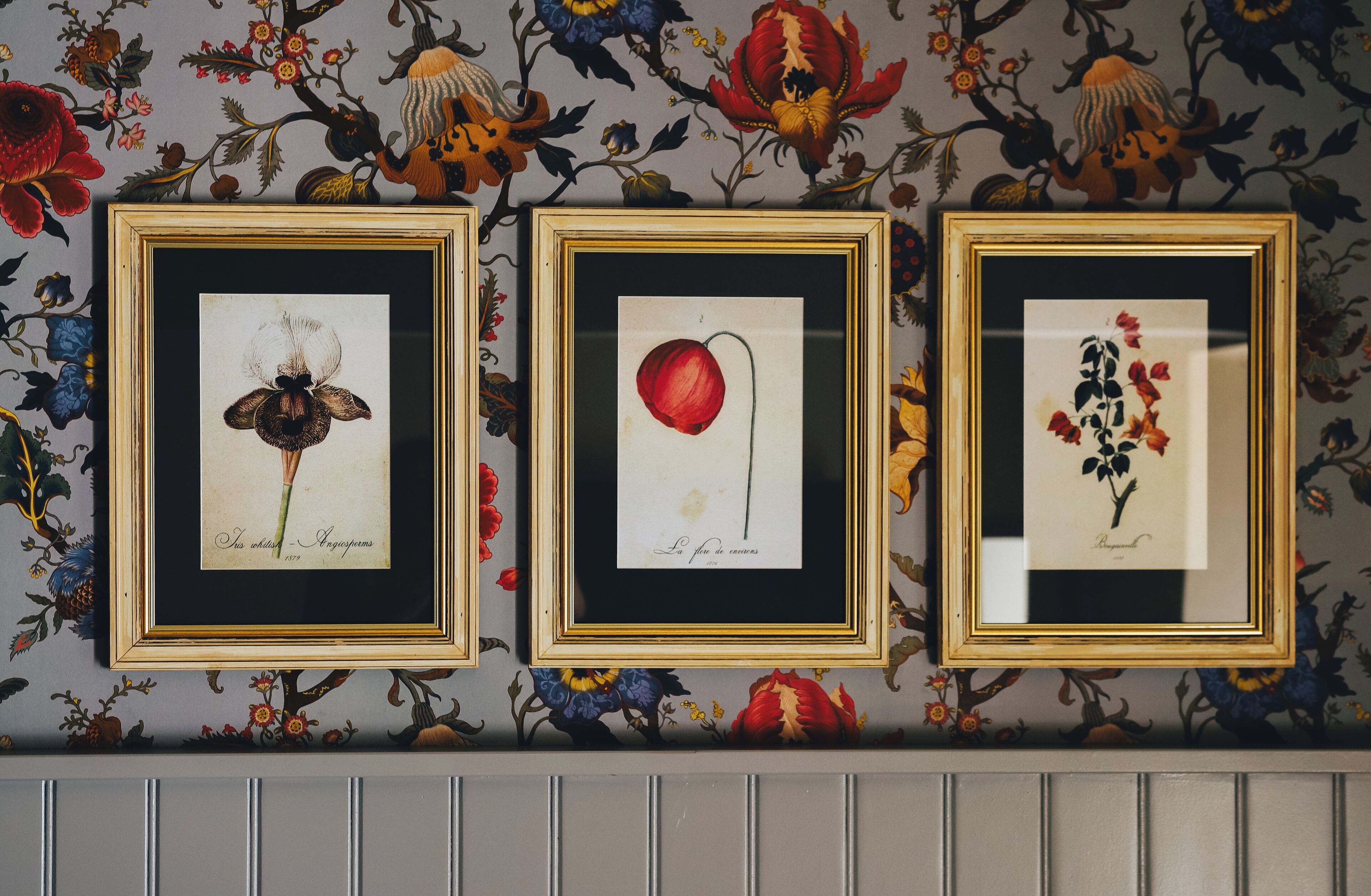 Three framed botanical illustrations on a wall with a floral wallpaper pattern.