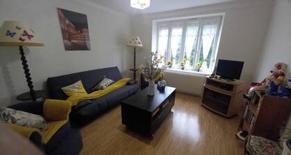 Appartement F/3 au coeur de la nature Vosgienne