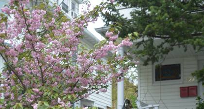 Victorian House 30
