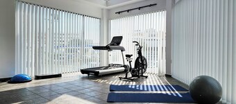 Phaedrus Living: Mini Art House Michelangelo