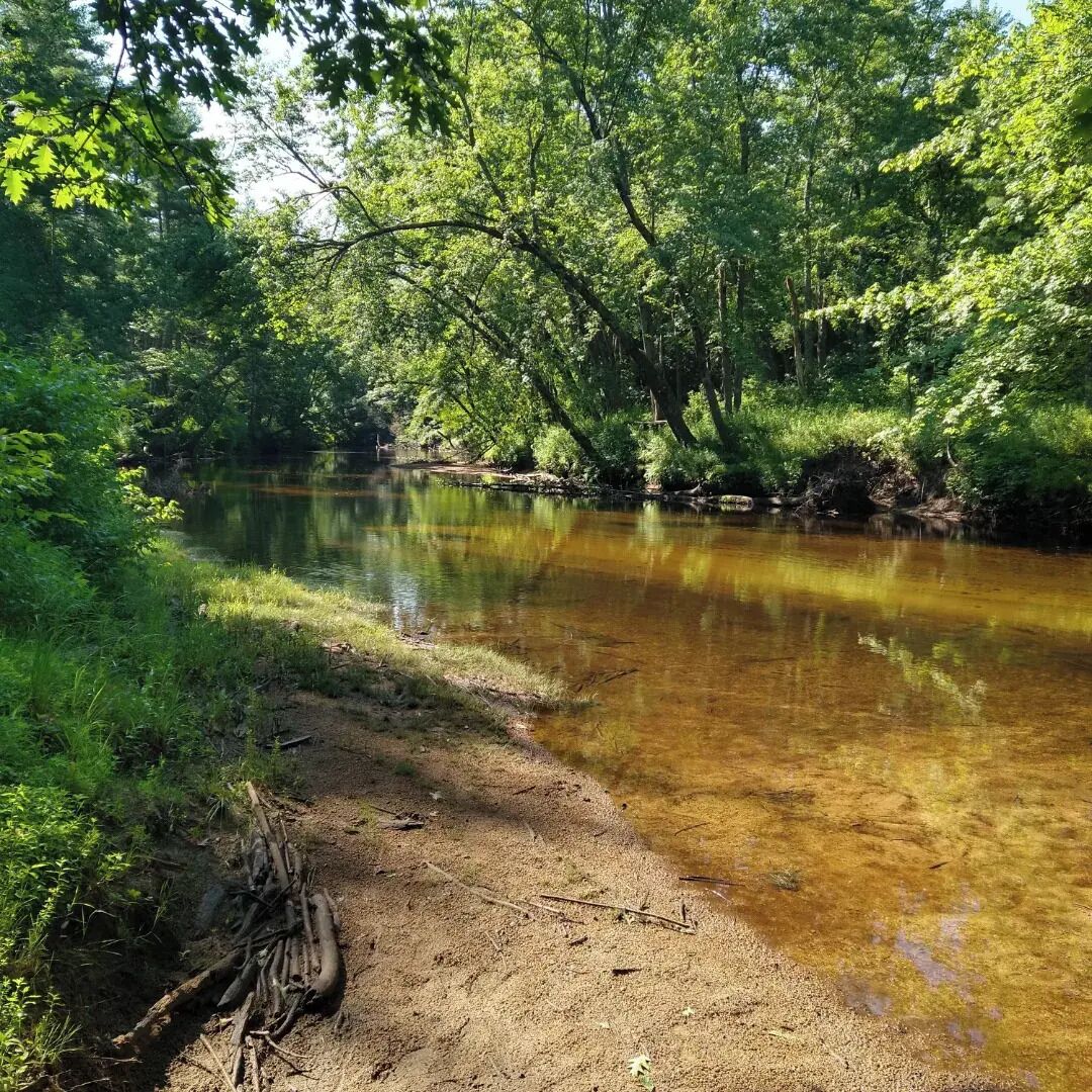 Cozy waterfront cottage in the white mountains on beautiful bearcamp river!
