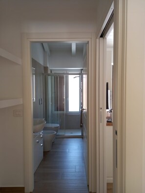 Shower, hair dryer, bidet, towels