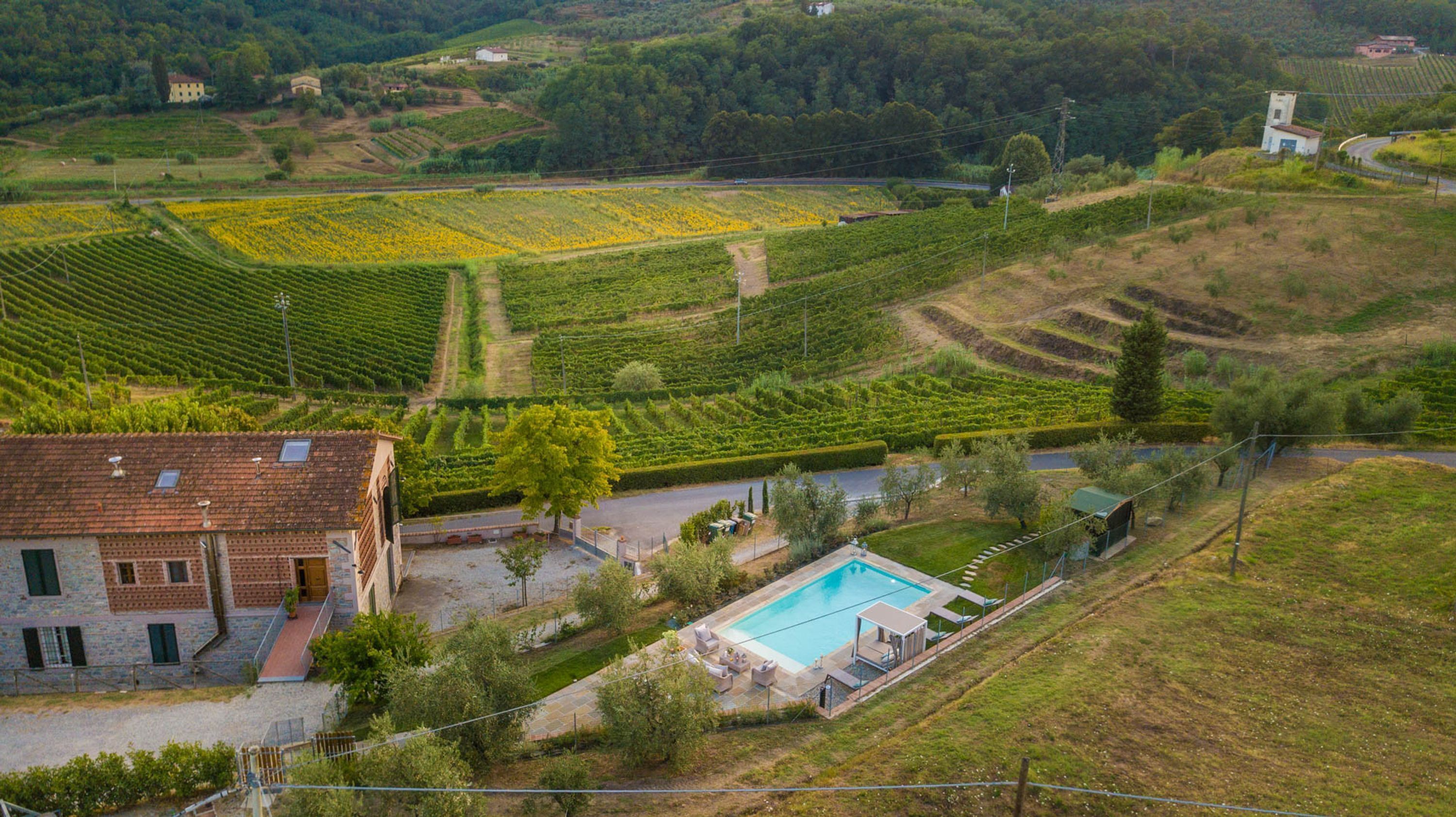 A villa with a swimming pool, surrounded by terraced vineyards and a rural landscape.