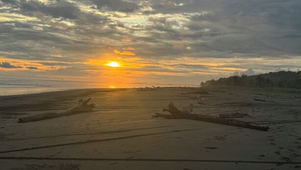 A beach with a sunset, scattered driftwood, and a distant tree line. - Süßes, Privates Bungalow mit Garden Nahe Manuel Antonio in Einer Ruhigen Gegend (San Martin Quepos)
