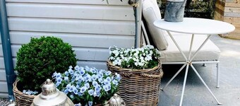 Vintage Tin Tabernacle - Perfect for Cosy Getaways