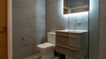 A modern bathroom with a glass shower enclosure, a toilet, and a vanity with a mirror.