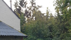 A pathway leading to a building with a stone facade and a metal staircase. - Domein le Crupet 30 Personen Gelegen op Domein Van3 ha (Hastière)