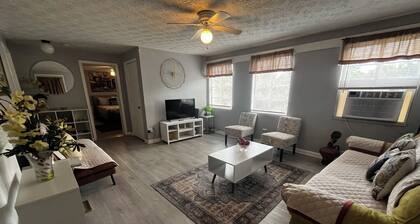 Cozy Historic 1-bedroom apartment in Valdosta near SGMC, VSU, and Moody.