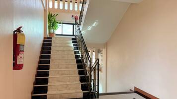A staircase with black and white tiles, a fire extinguisher, and a potted plant.