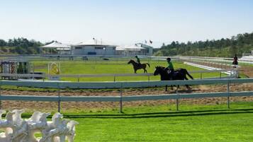 A horse racing track with a white fence, a jockey on a horse, and a stable building in the background.