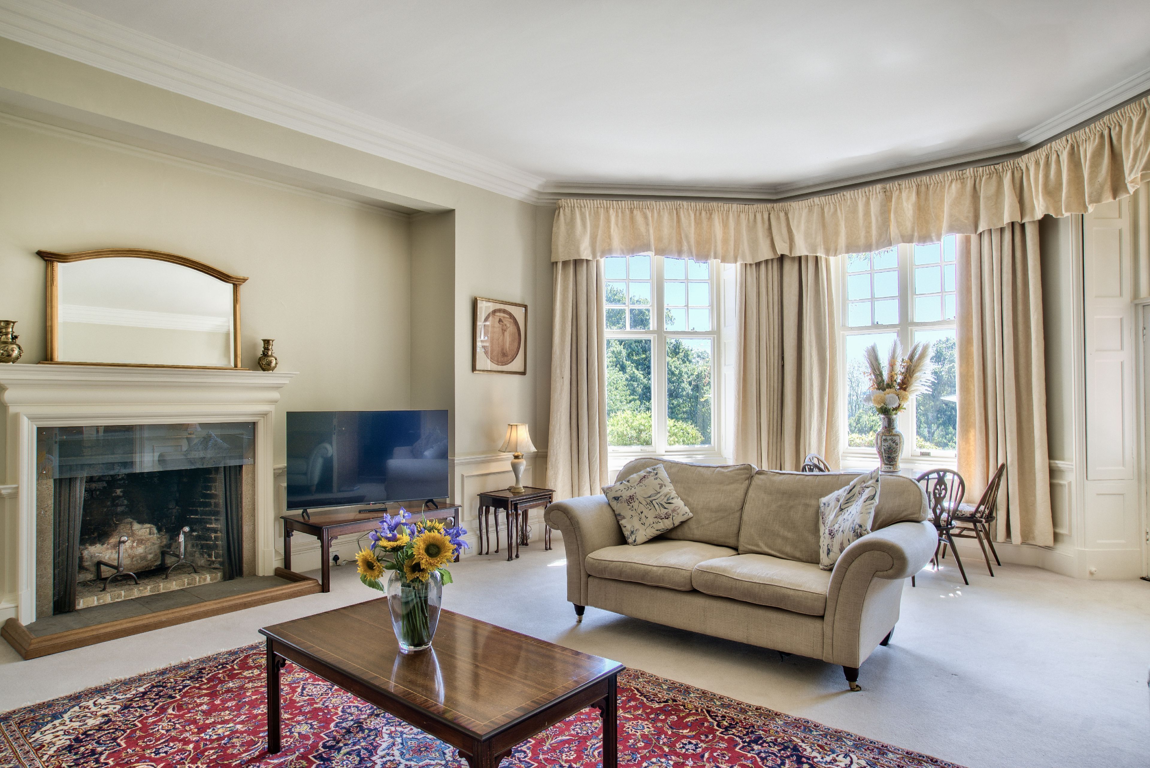 智能电视、壁炉、电子游戏、立体声音响