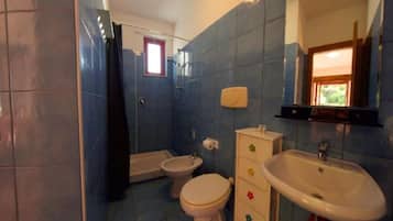 Shower, hair dryer, bidet, towels