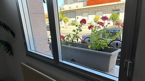 Una ventana con vista a una calle, un radiador y una maceta con flores.