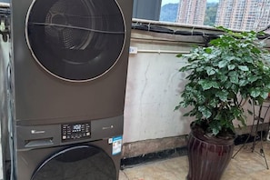A front-loading washing machine and a potted plant on a balcony. - Wenzhou Jinfeng Business Hotel (Yongjia)