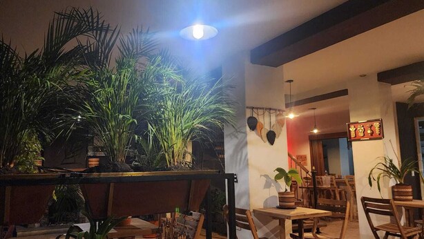 Um espaço interno aconchegante com mobiliário de madeira, plantas em vasos e uma atmosfera acolhedora.