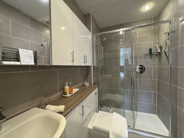 Shower, hair dryer, towels