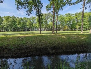 Property grounds - 510 Tee Time

 (Ocean Pines)