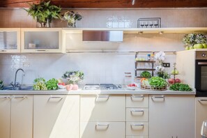 Fridge, microwave, oven, dishwasher - Panoramic penthouse with views and elevator in Lucca (Lucca)