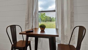 A room with a table and two chairs, a remote control, and a potted plant on the table. - Cates Cottage in the Hill Country 8 Mins to Fred! (Fredericksburg)