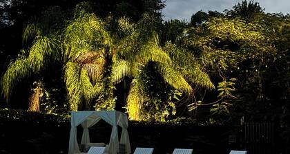 The ONLY glamping site in the New Millennium Forest in San Juan, PR