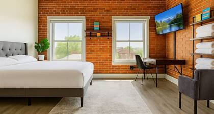 Bright Downtown Studio near Yale & East Rock!