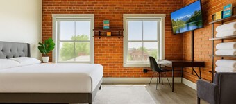 Bright Downtown Studio near Yale & East Rock!