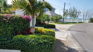 A residential street with a house, lush greenery, and a clear sky.