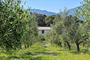 Overnattingsstedets uteområder