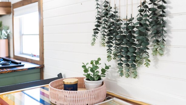 A room with a striped glass table, a hanging plant, and a basket with a plant and a book. - The Pinnacle Mountain Bus Stop ~ Fire pit, Frisbee Golf, Baggo, Hammock (Little Rock)