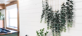 The Pinnacle Mountain Bus Stop ~ Fire pit, Frisbee Golf, Baggo, Hammock