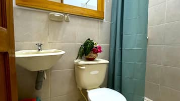 Standard Double Room, Garden View | Bathroom | Free toiletries, soap, shampoo, toilet paper