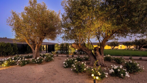 A landscaped garden with mature trees and white flowering plants. - Hotel Bayit Modesto Salida (Salida)