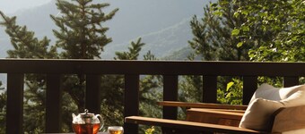 Cozy 3-bedroom chalet in fabulous Smoky Mountains - Breathtaking Views, AC, WiFi