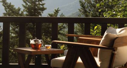 Cozy 3-bedroom chalet in fabulous Smoky Mountains - Breathtaking Views, AC, WiFi