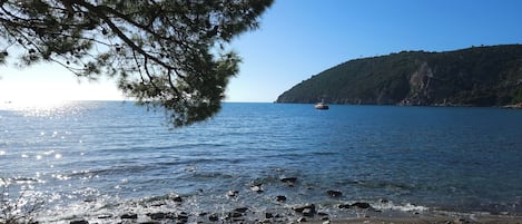 海灘