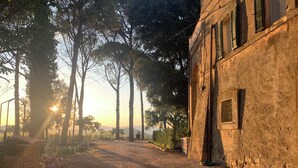A rustic building with a dirt path leading to it, surrounded by trees and a clear sky.