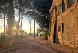 Overnattingsstedets uteområder