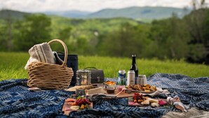 A picnic setup with a basket, a portable grill, and food items on a blanket in a grassy field with mountains in the background. - The Speckled Trout Outpost (Damascus)