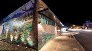 A building with a mural of a landscape and a bicycle, a sidewalk, and a street with lights. - The Speckled Trout Outpost (Damascus)
